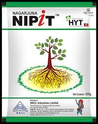 NIPIT