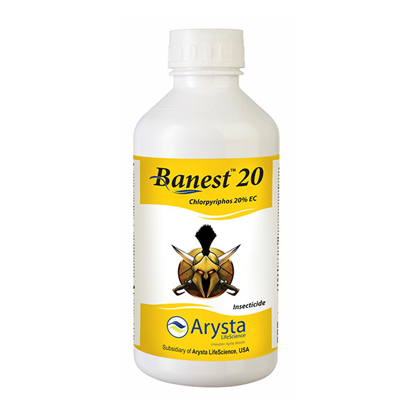 BANEST 20