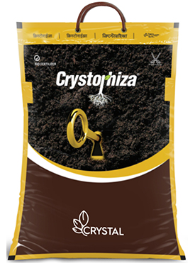CRYSTORHIZA