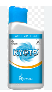 KYOTO