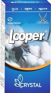 LOOPER