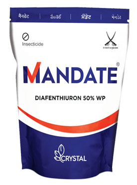 MANDATE
