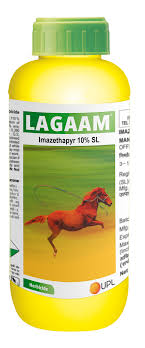 Lagaam