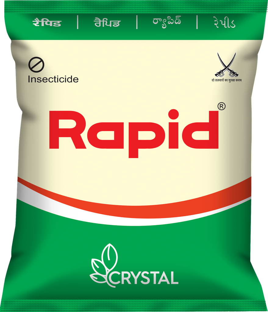 RAPID