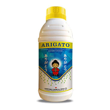 ARIGATO