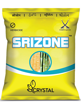 SRIZON