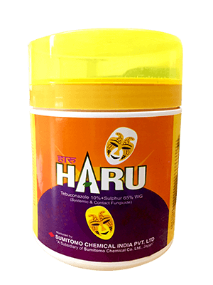 HARU