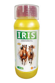 IRIS