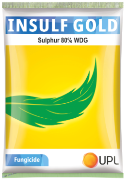 Insulf Gold