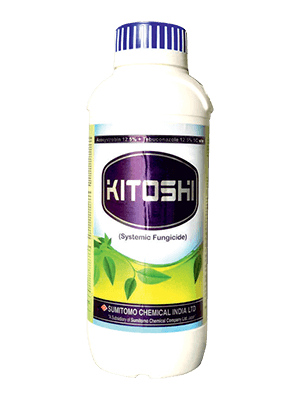 Kitoshi