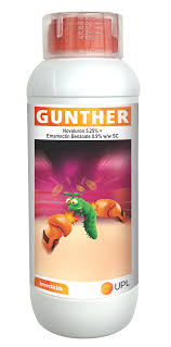 GUNTHER
