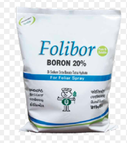 Gromor Folibor