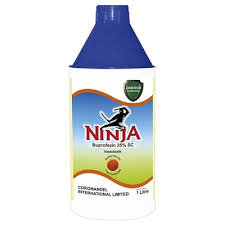 Ninja