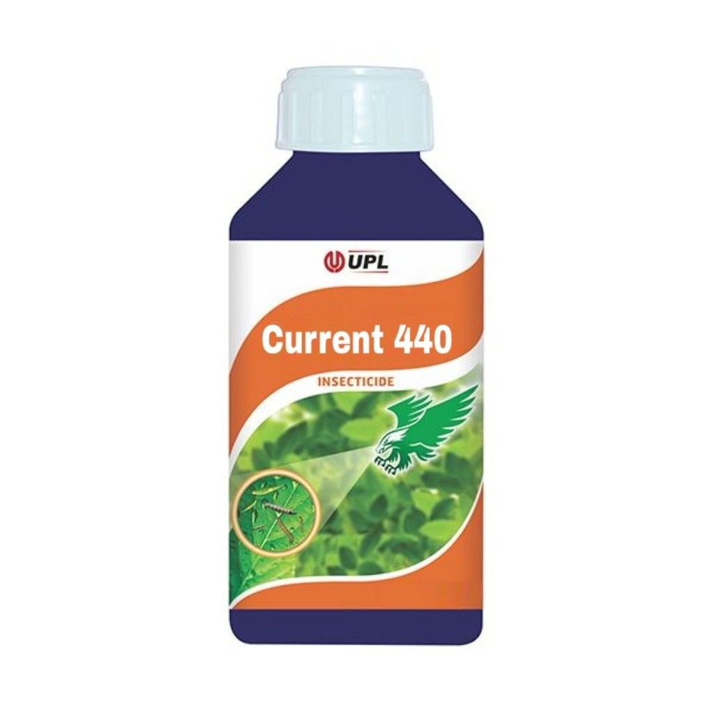 CURRENT 440