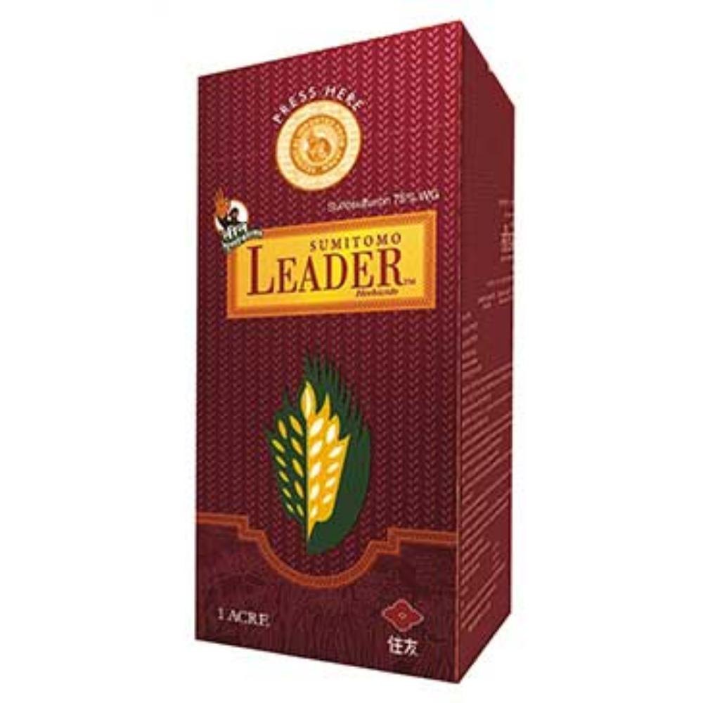 Leader