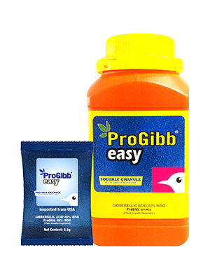 PROGIBB EASY