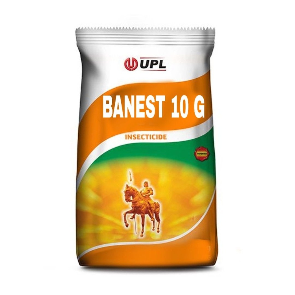 BANEST 10 G