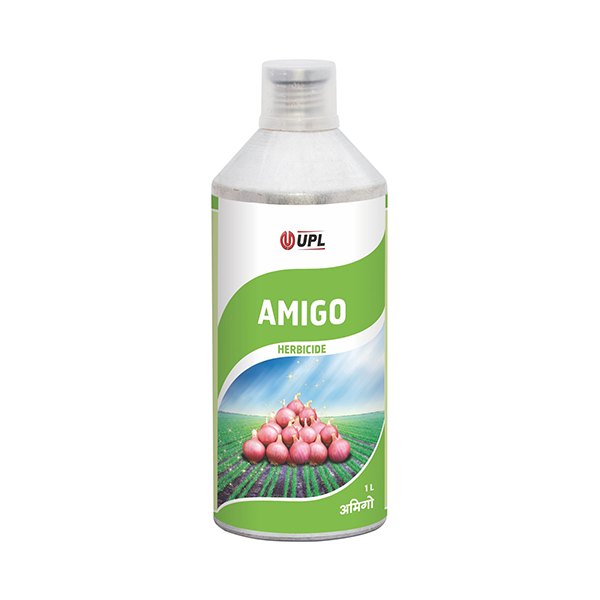 AMIGO
