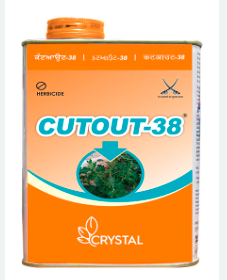 CUT - OUT