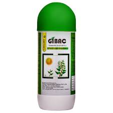 Gibac
