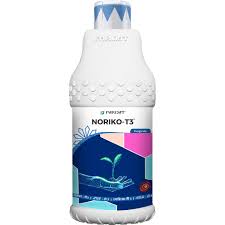 NORIKO T3