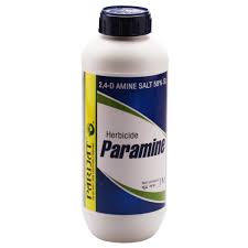 Paramine