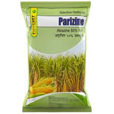 Parizine