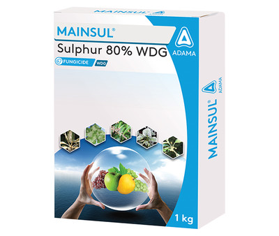 MAINSUL