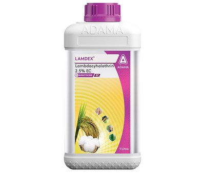 LEMDEX