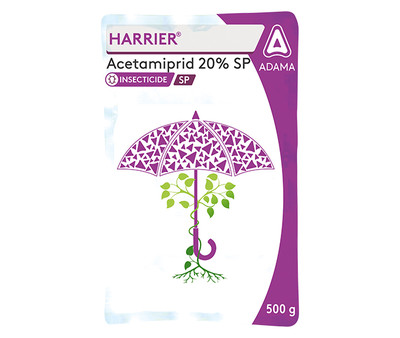HARRIER