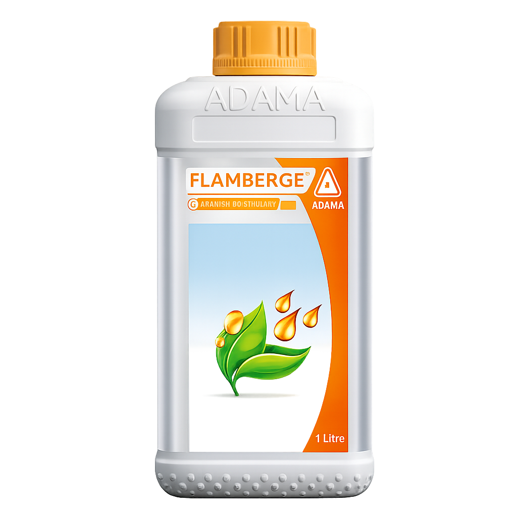 FLAMBERGE