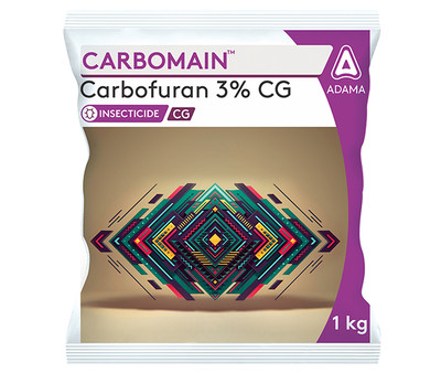 CORBOFURAN