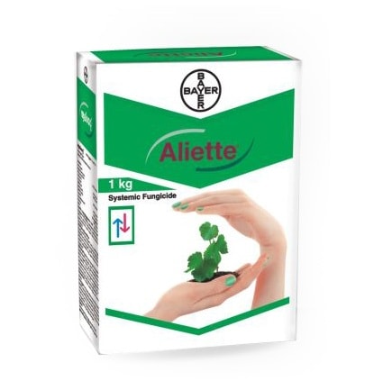 ALIETTE