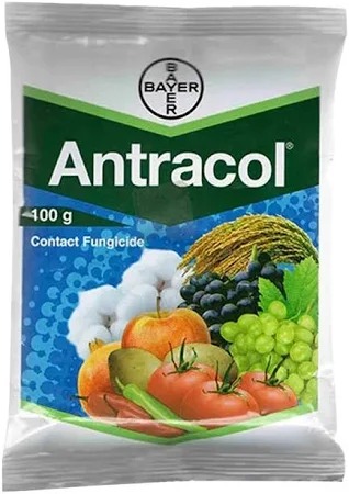 ANTRACOL
