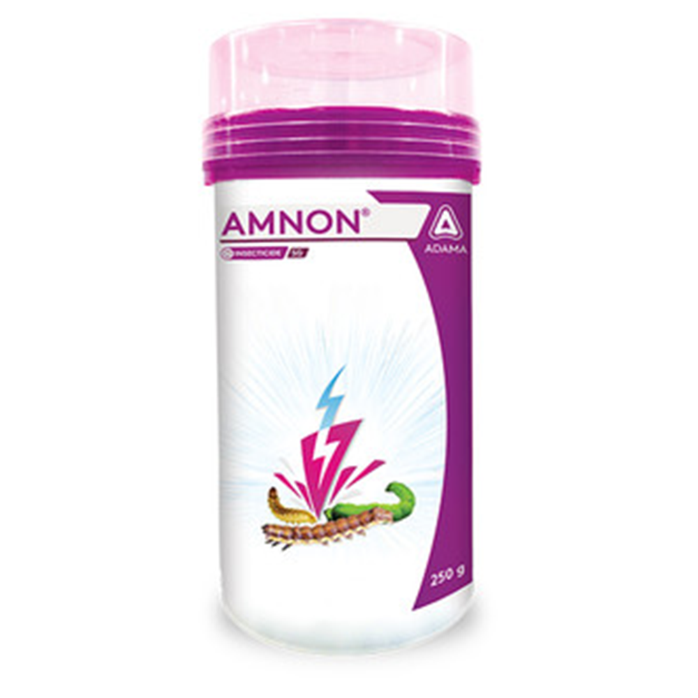 AMNON