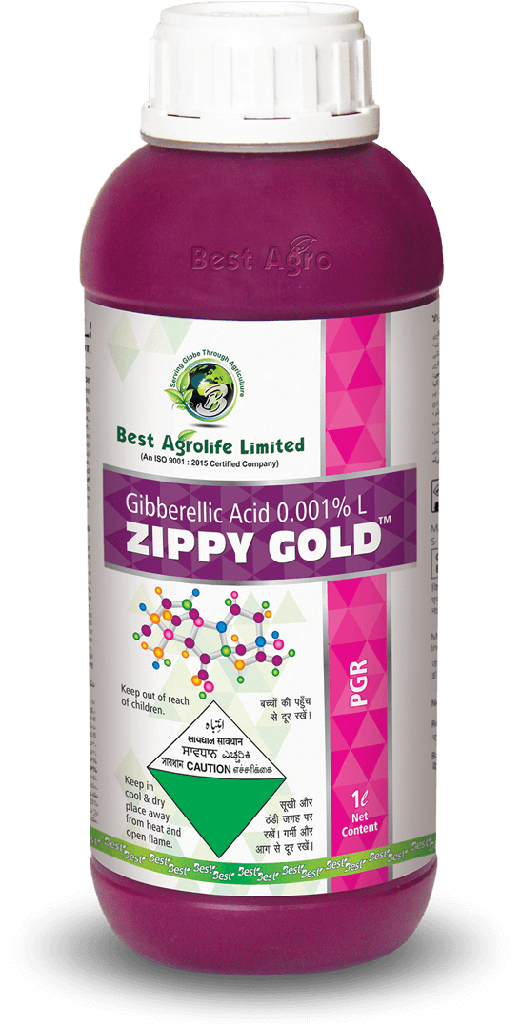 Zippy Gold