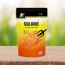 SOLARO