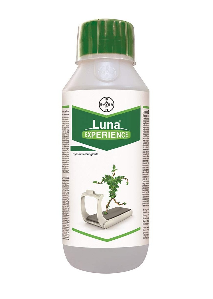LUNA EXPERIENCE 