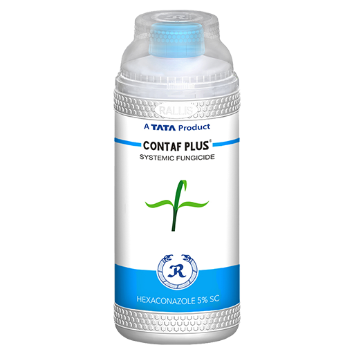 CONTAF PLUS