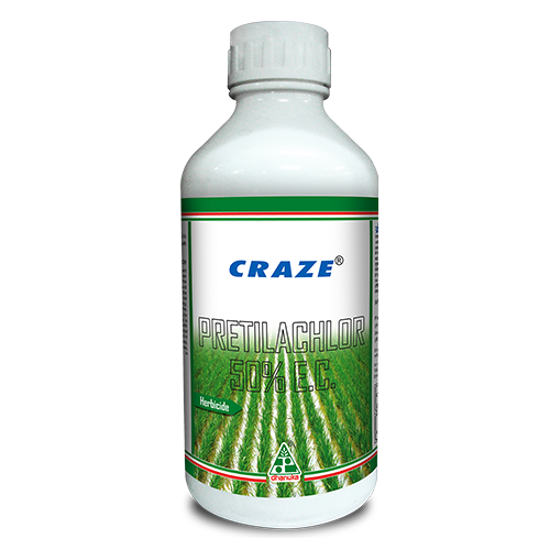 CRAZE