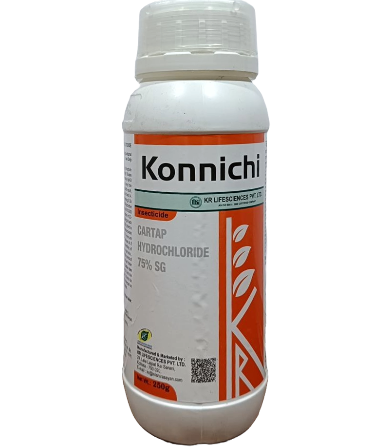 Konichi