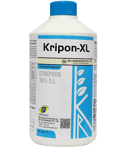 Kripon-xl