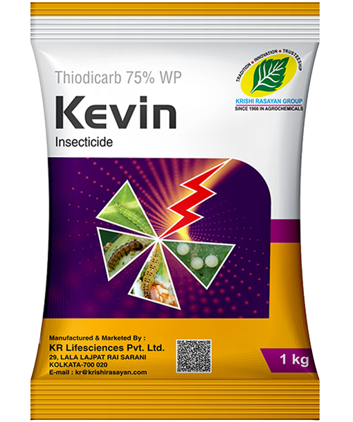 Kevin