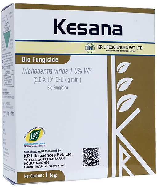 Kesana