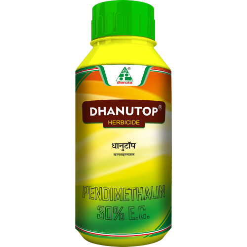 DHANUTOP