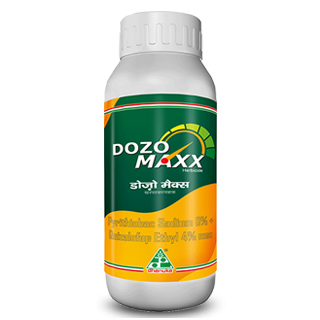 DOZO