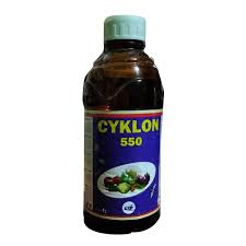 Cyklon