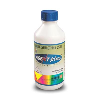 Agent Plus