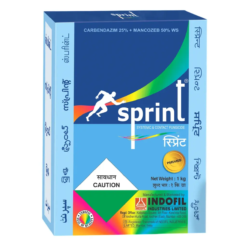 SPRINT