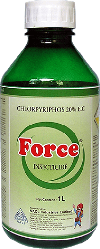 FORCE